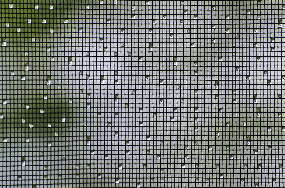Budgetfreundlicher Insektenschutz: Ein Fliegengitter günstig ersetzten