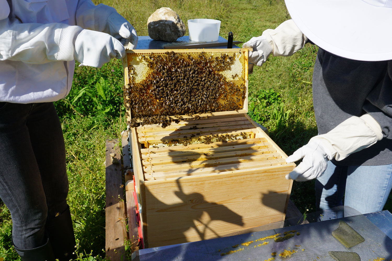 Bienenkasten/Bienenstock 
