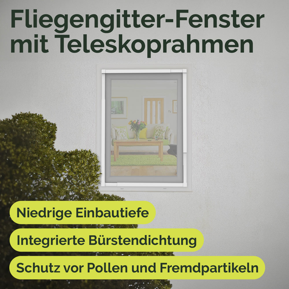 Fliegengitter Tele