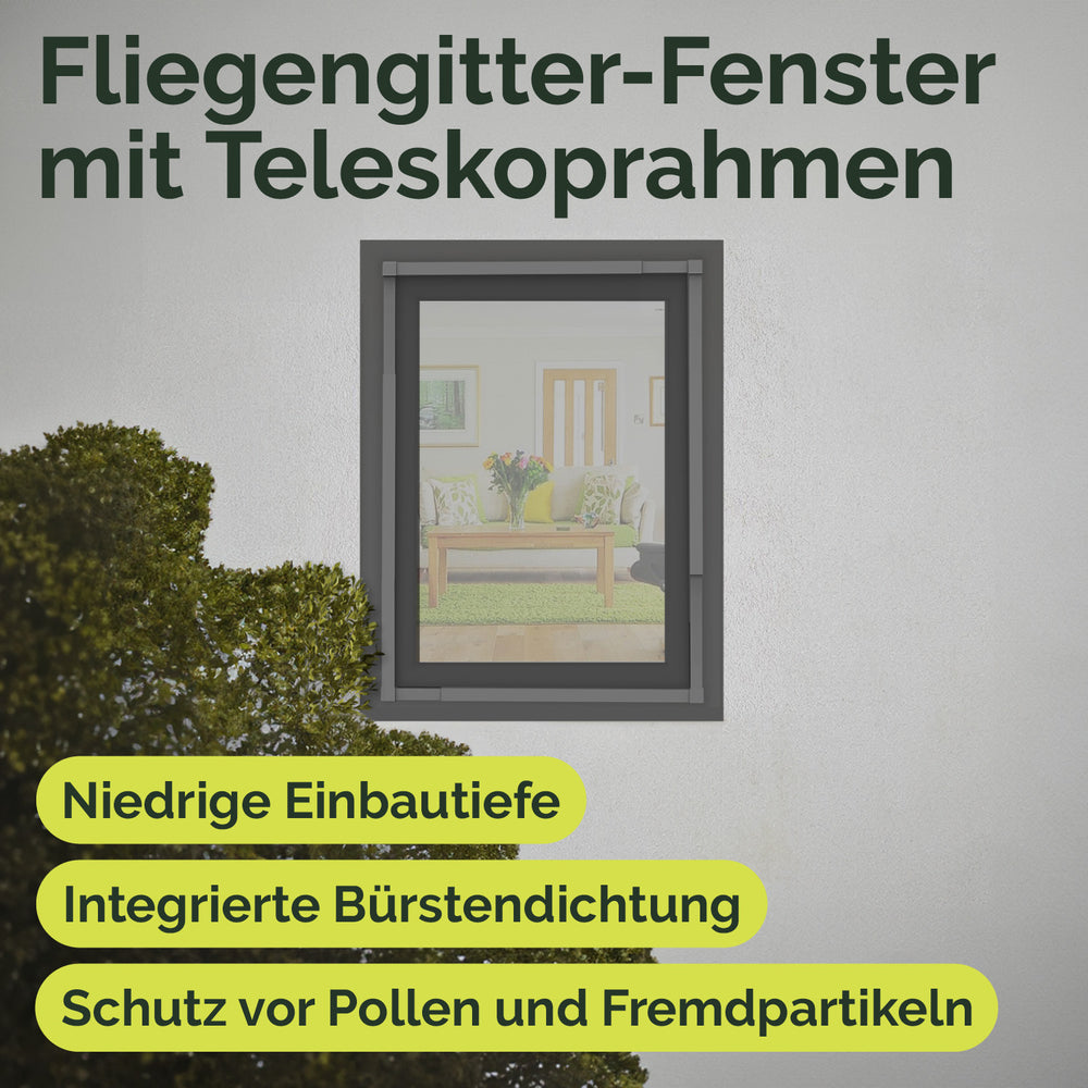 Fliegengitter Tele